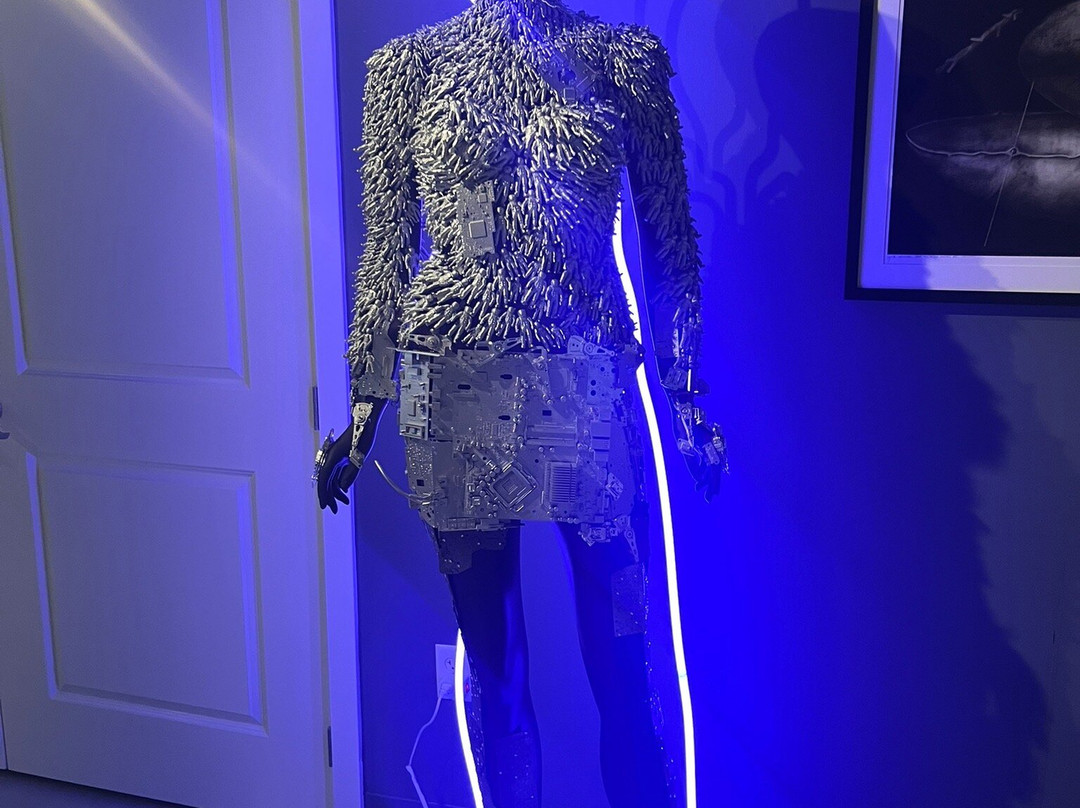 Imagine Museum-圣彼德斯堡必去景点