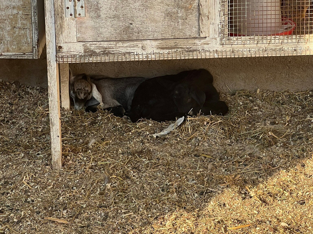 Anthi Farm Sifnos-Apollonia必去景点