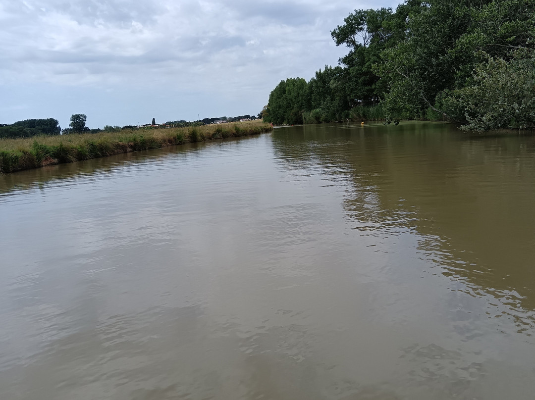 Les Canoës du Marais-Givrand必去景点
