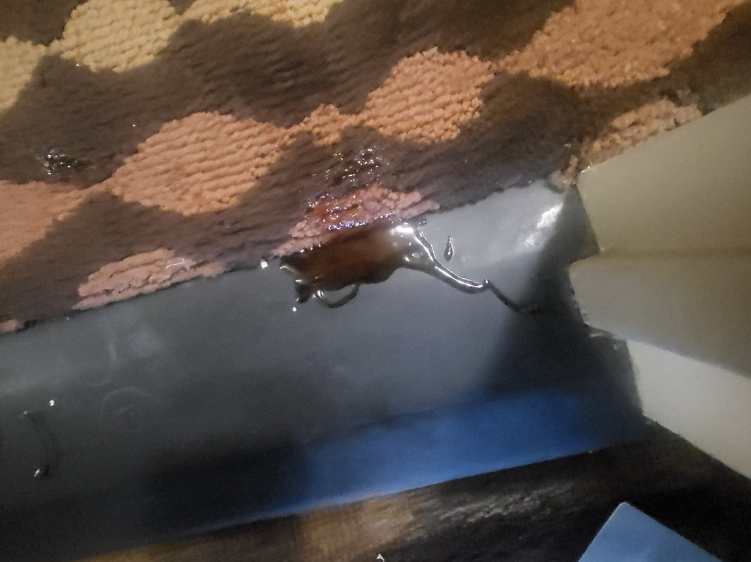 Radisson Hotel Louisville North主图