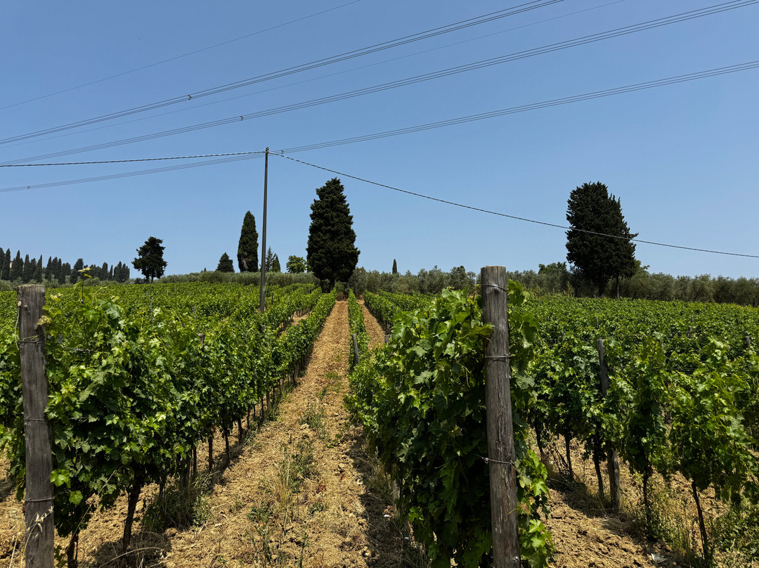 Fabrizio Pratesi Winery-Seano必去景点