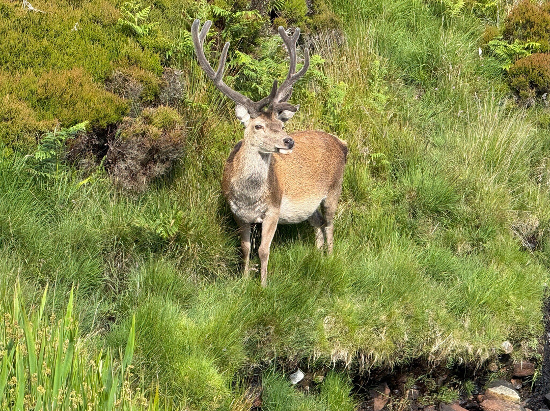 Pobull Fhinn-Lochboisdale必去景点
