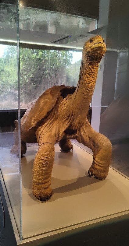 Charles Darwin Research Station-阿约拉港必去景点