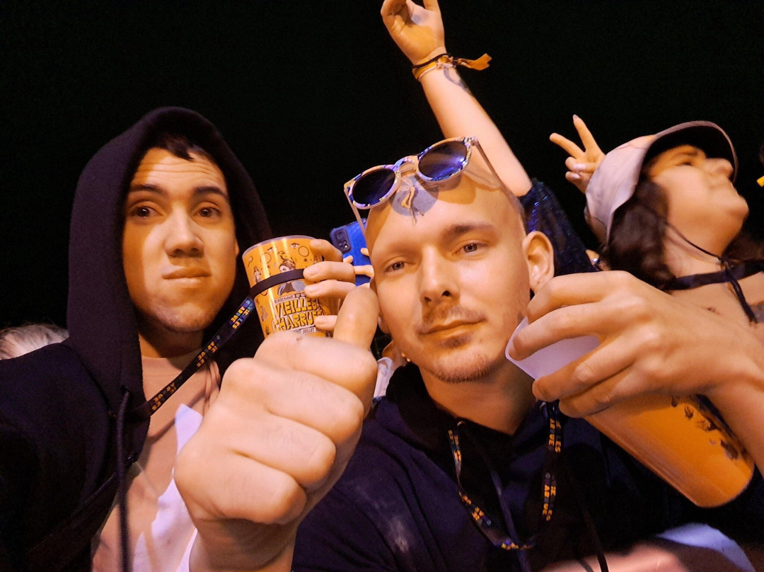 The Vieilles Charrues Festival-Carhaix-Plouguer必去景点