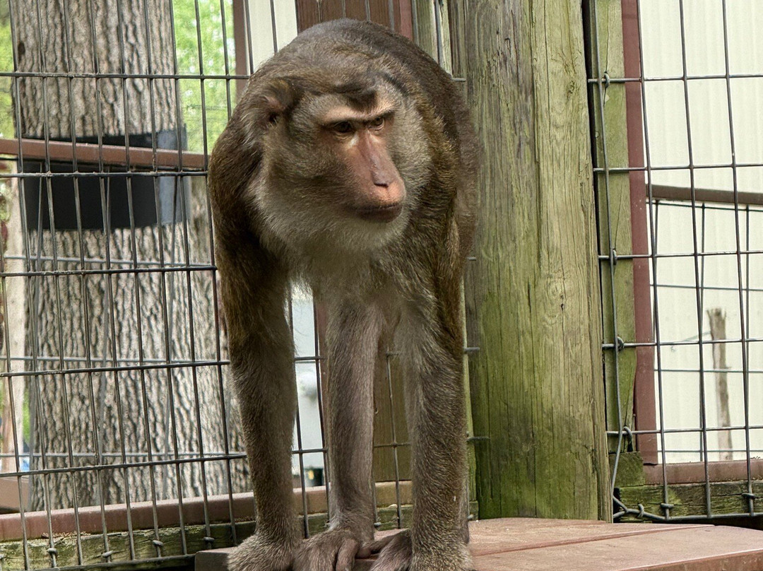 Indian Creek Zoo-Lambertville必去景点