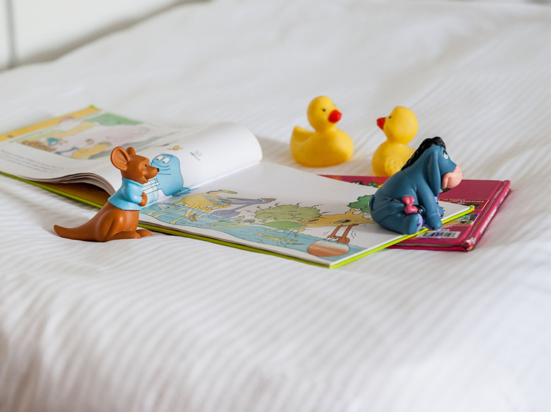 加布里埃拉酒店主图