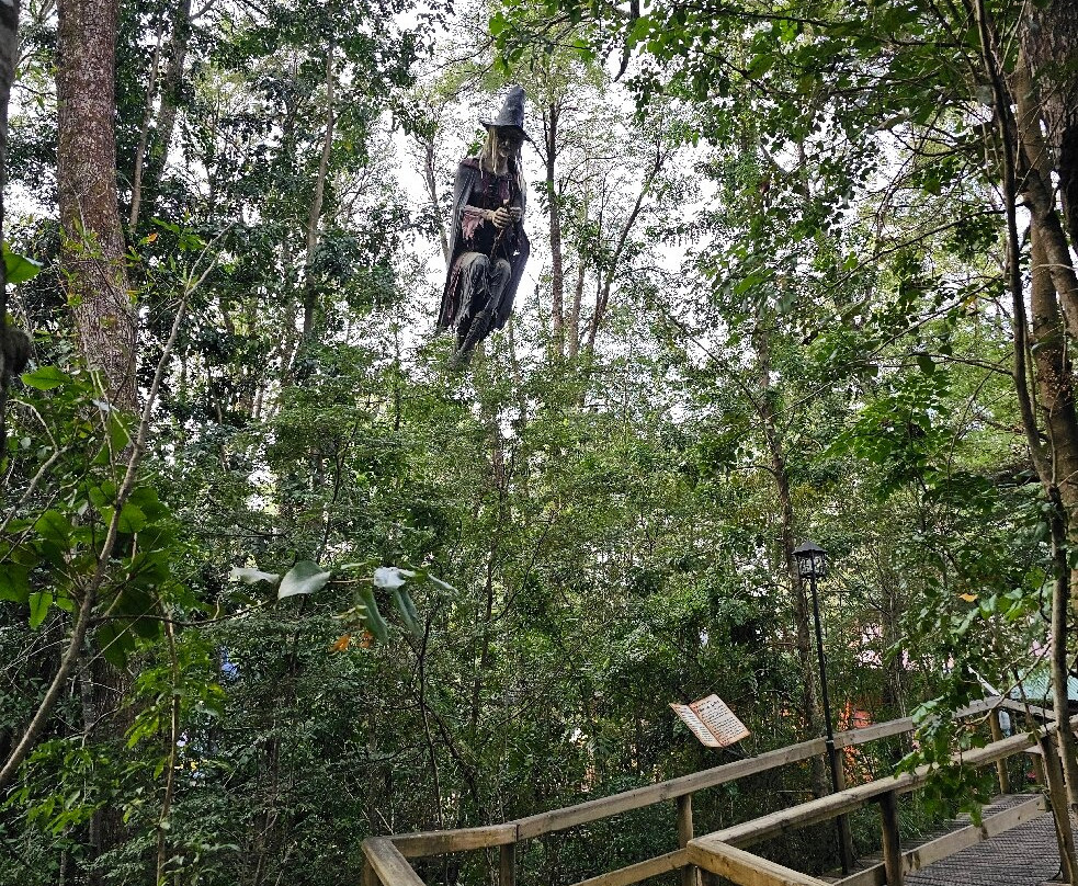 Bosque Encantado Pucón-普孔必去景点