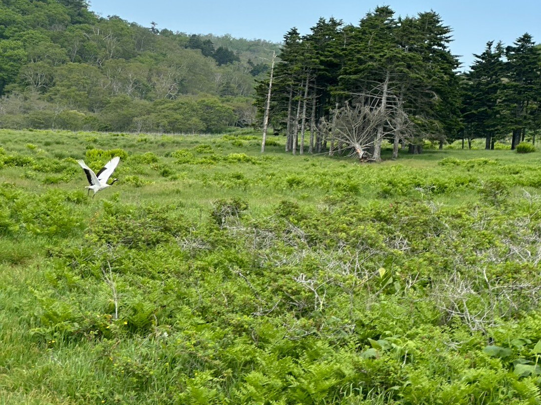 North Pacific Sea Side Line Horse Club-滨中町必去景点
