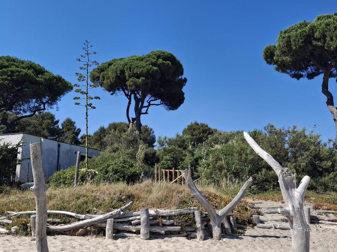 Villaggio Il Girasole主图