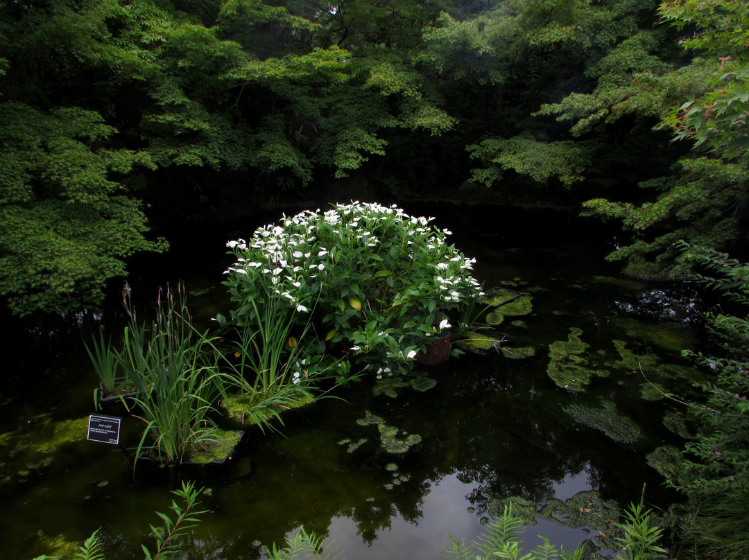 Uji City Botanical Park-宇治市必去景点