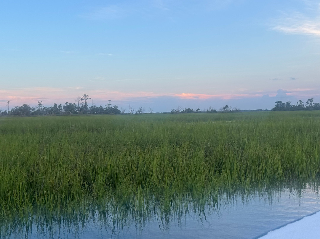 Georgia Coast Charters-泰碧岛必去景点