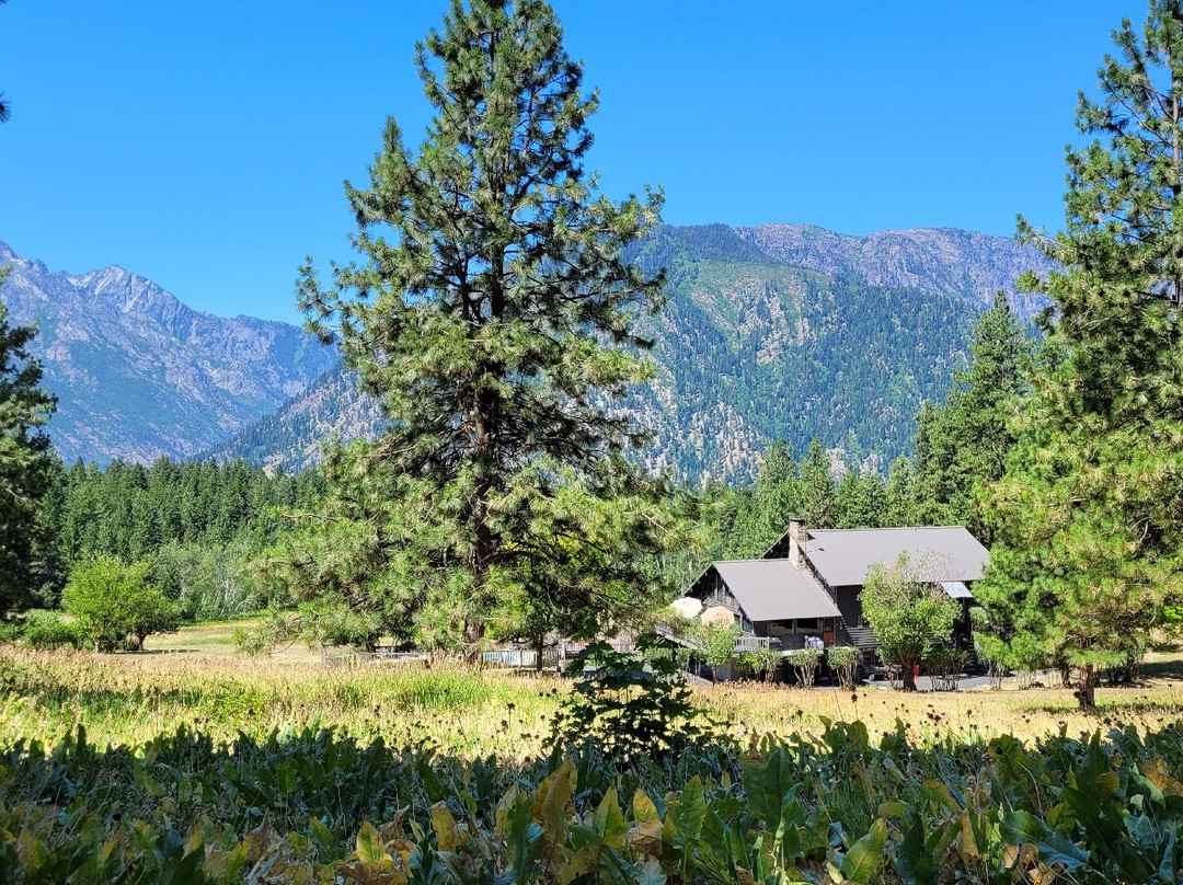 Mountain Home Lodge主图