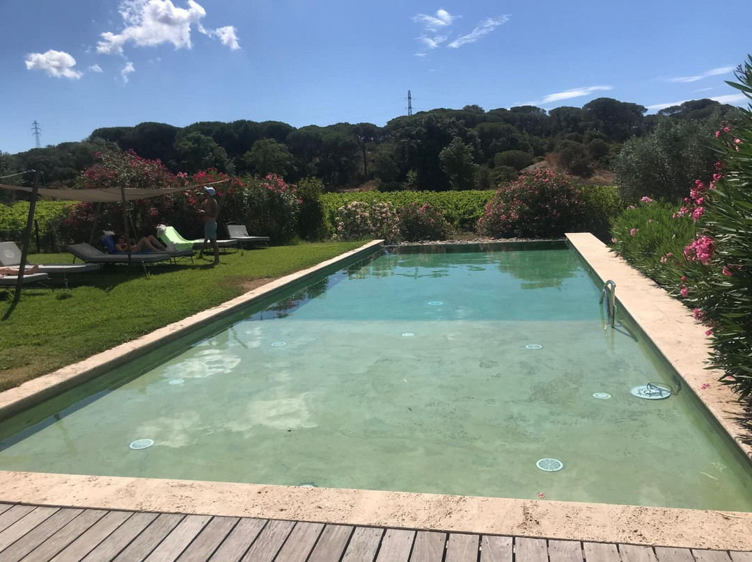 Vignoble du Clos des Roses-弗雷瑞斯必去景点