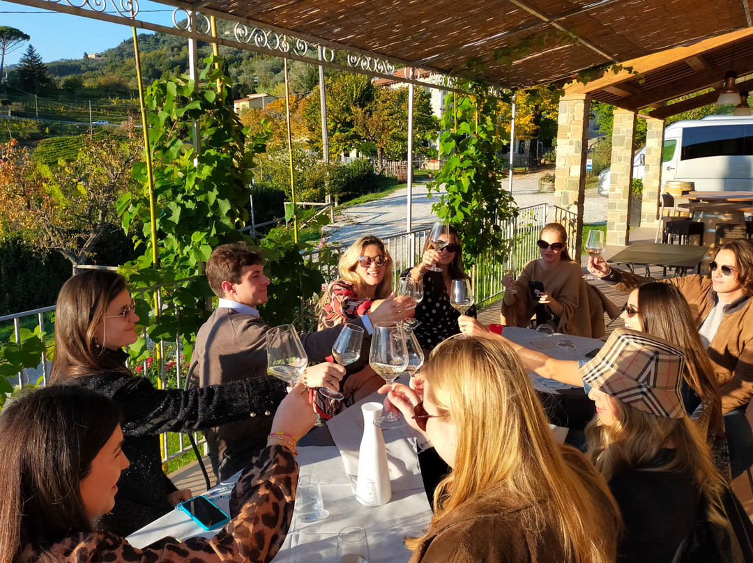 WINEAFTERWINE - Wine tasting e wine tours in Tuscany-卢卡必去景点