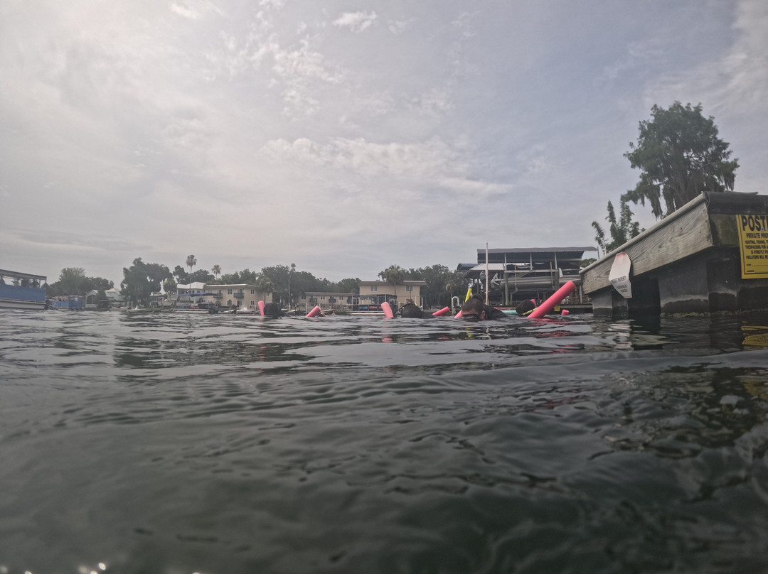 Go Local Manatee Tours-克里斯特尔里弗必去景点