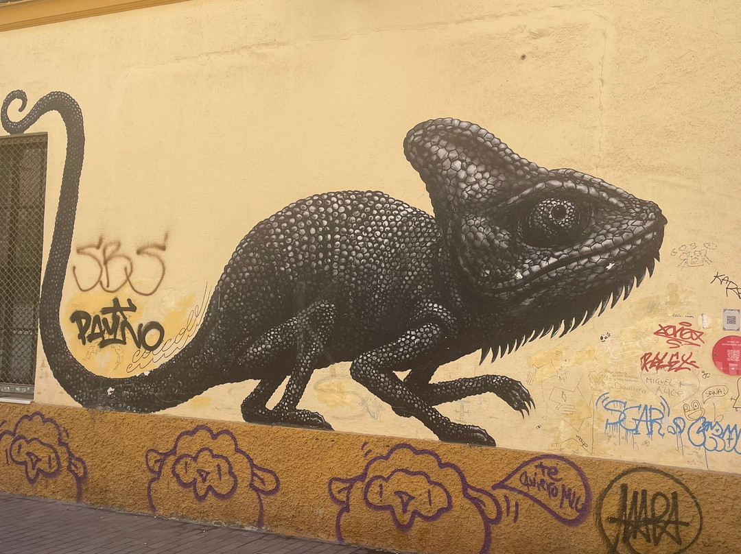 Street Art Malaga-马拉加必去景点