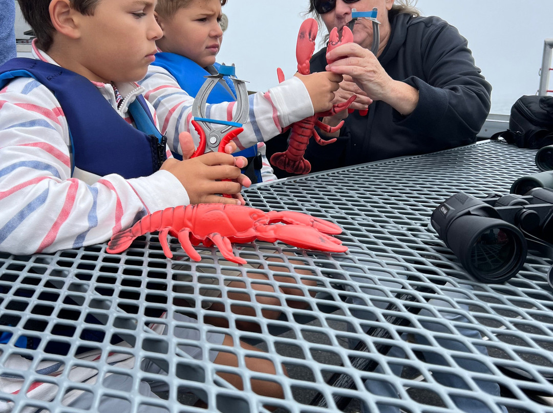 Catch Your Dinner Lobster Tours-Corea必去景点