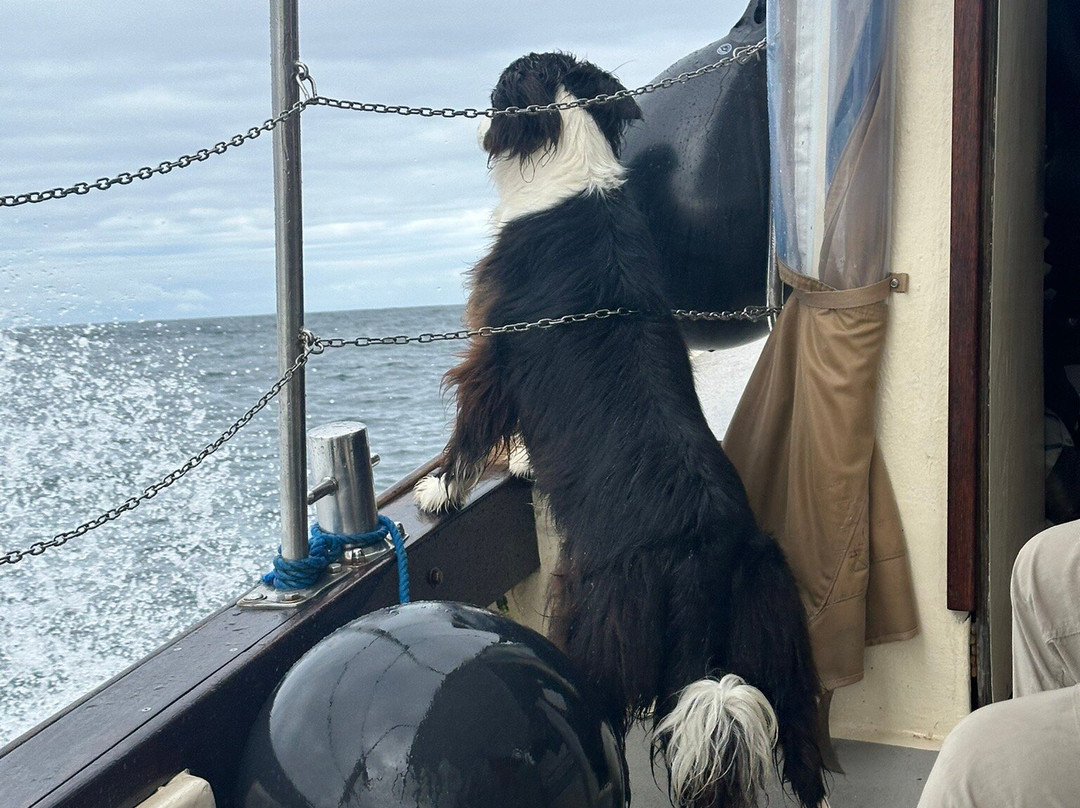 Skellig Tours-Caherdaniel必去景点