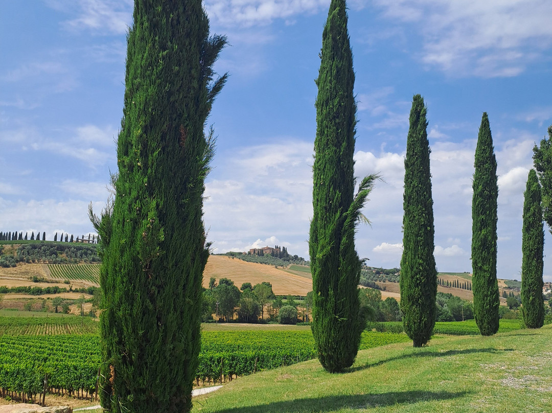 Azienda Agricola Santa Giulia-Torrenieri必去景点