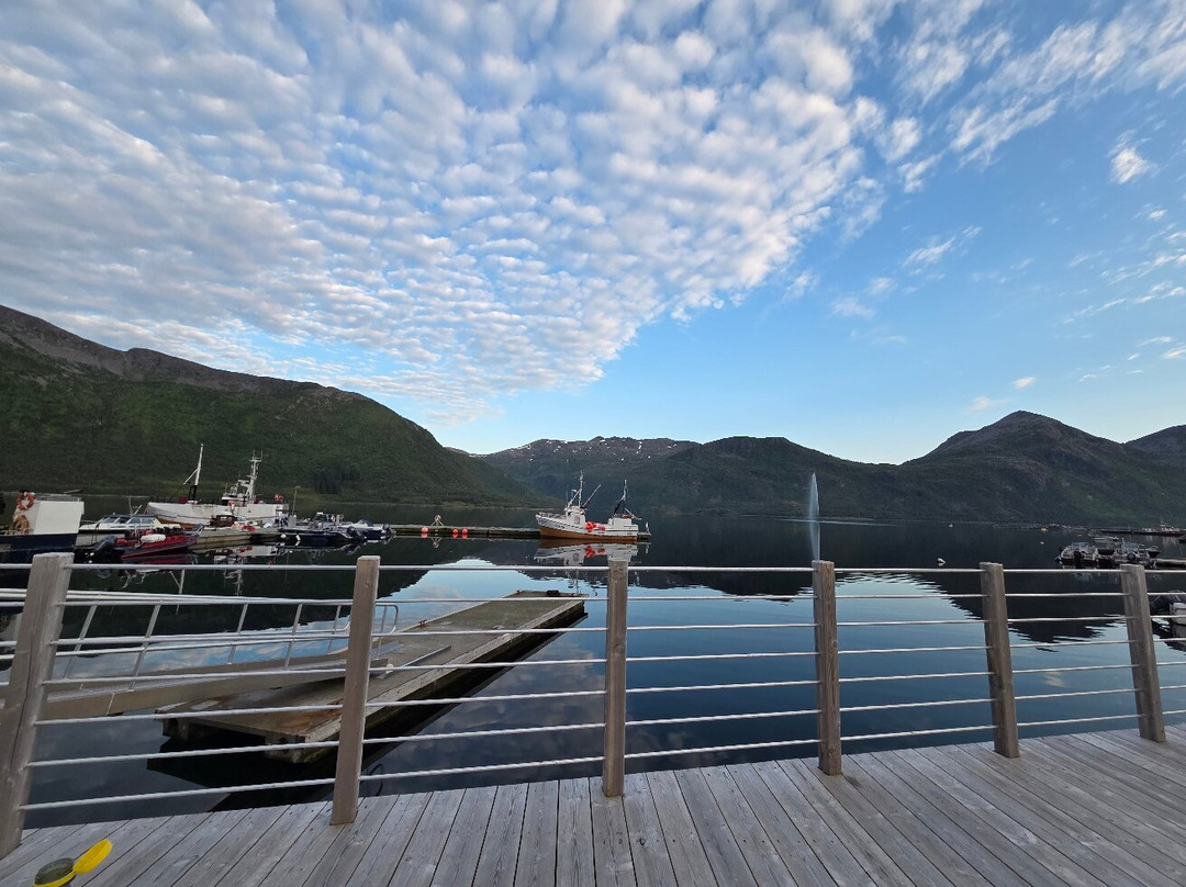 Torsken Brygge Pub