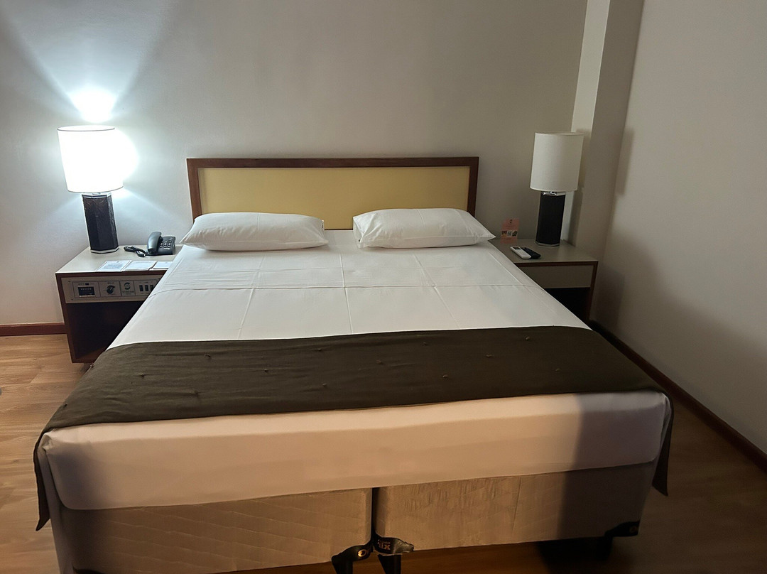 Stream Palace Hotel Ribeirão Preto主图