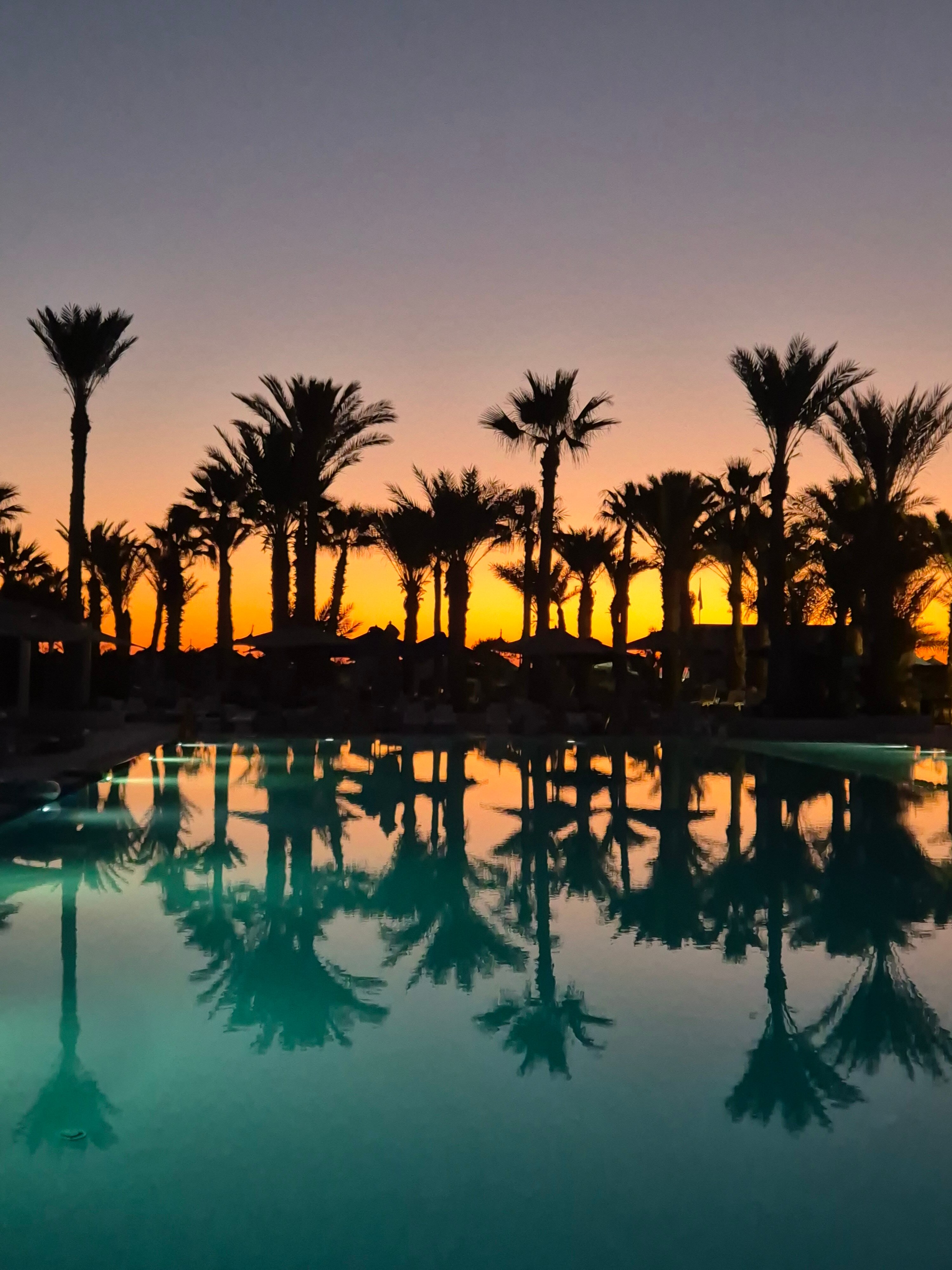 Club Marmara Palm Beach Djerba-官方