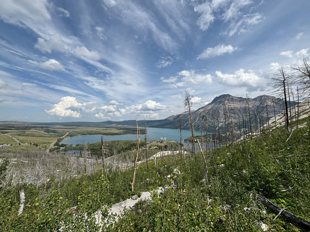 Bear's Hump-沃特顿湖国家公园必去景点