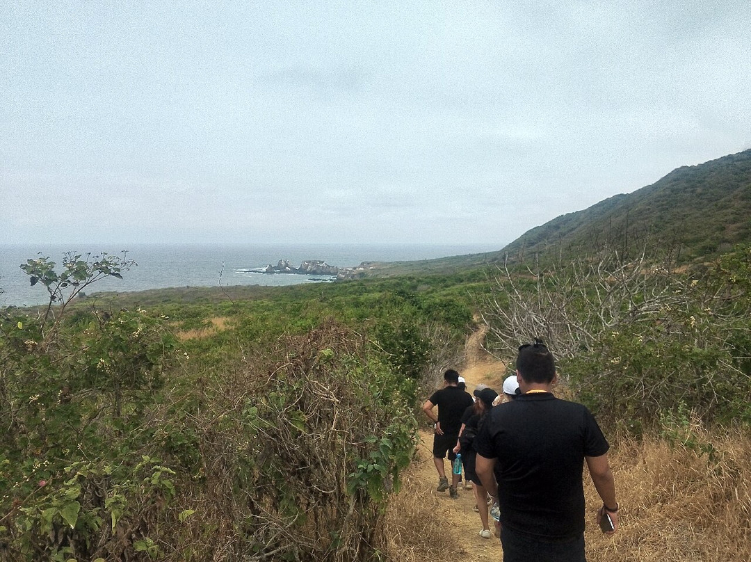 Isla de la Plata-Puerto Lopez必去景点