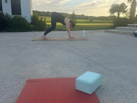 La Palmilla Texas主图