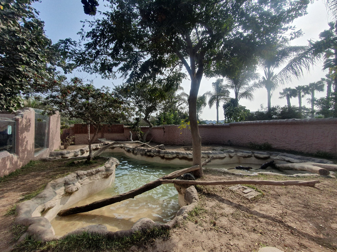 Parque Zoologico Huachipa-利马必去景点