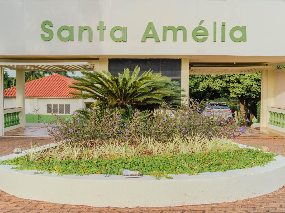 圣阿米莉亚庄园主图