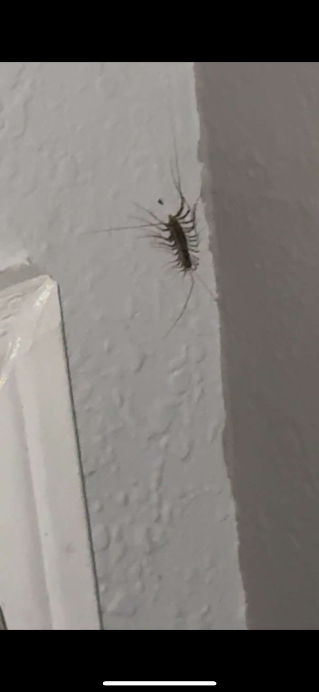 Motel 6 Newport-客卧