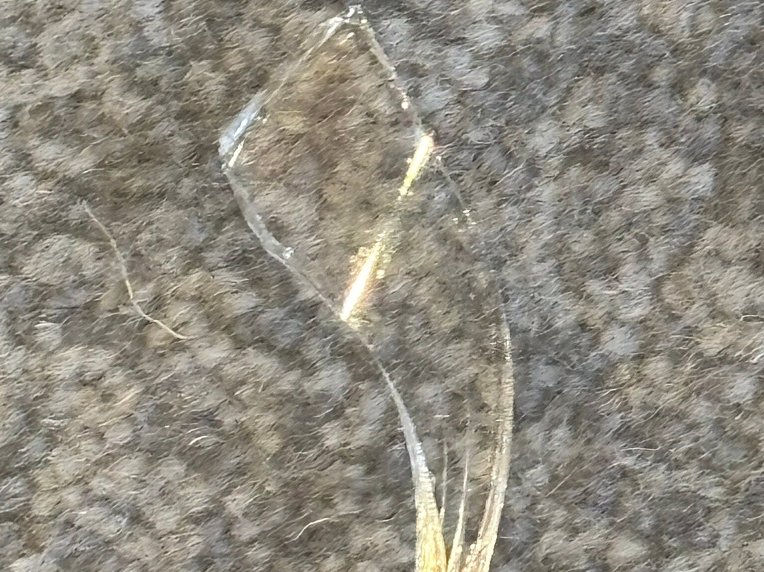 Hotels & Preference Hualing Tbilisi主图