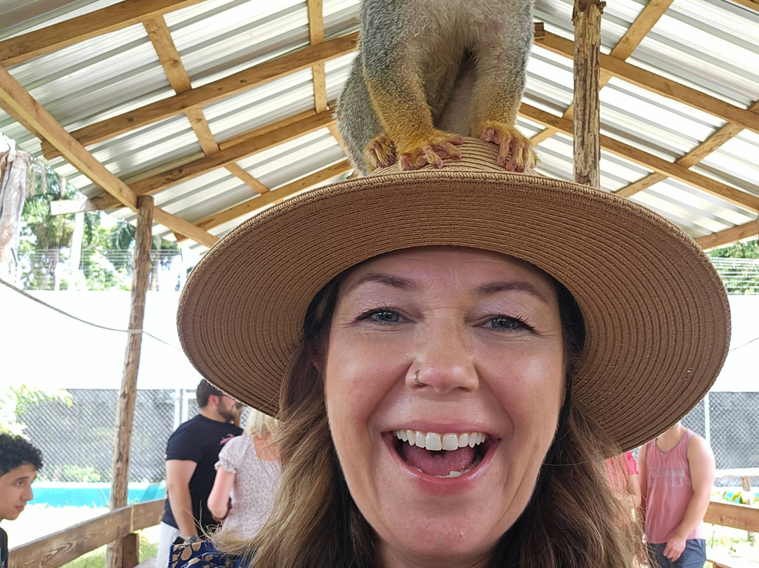 RV Tours DR-普拉塔港必去景点