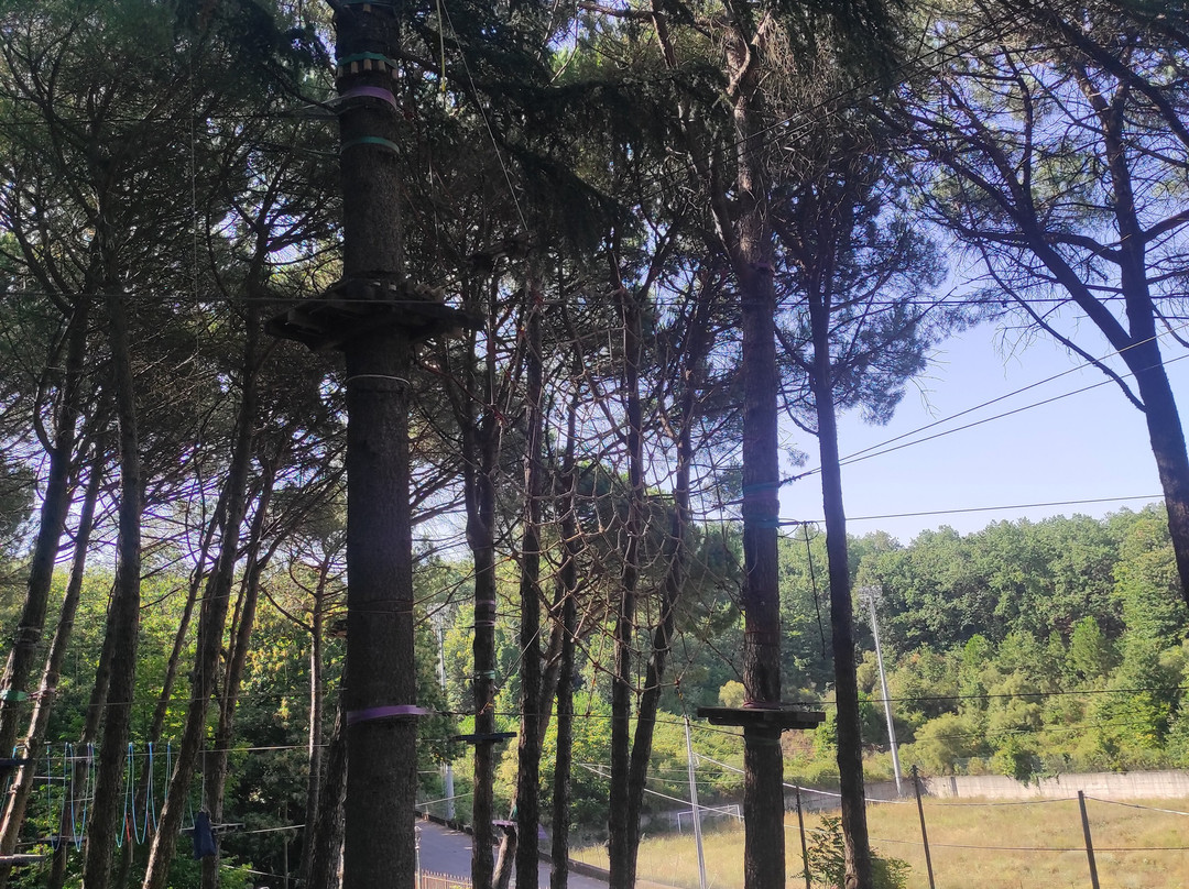 Parco Avventura Etna-Milo必去景点