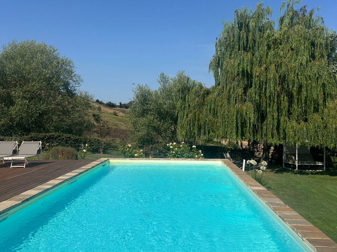 Il Gallo Senone resort主图