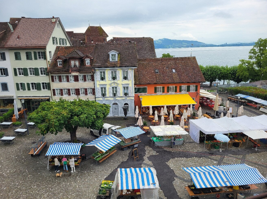 Cham酒店住宿-Hotel Lowen am See Zug