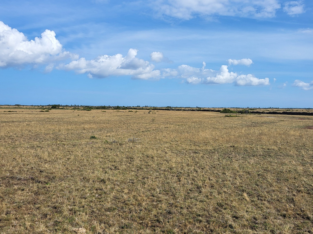 Kvarnbacka Islandshästar-Morbylanga必去景点