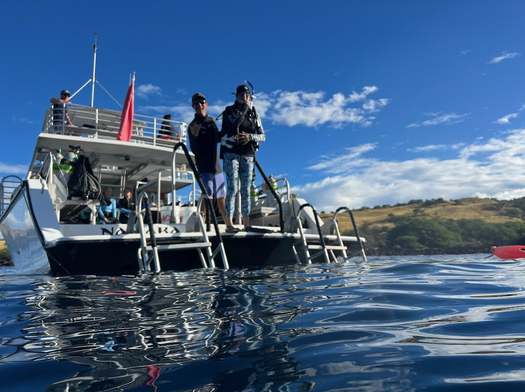 Kohala Divers-卡威哈也必去景点