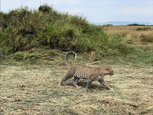 Wild Plus Escapades-马林地必去景点