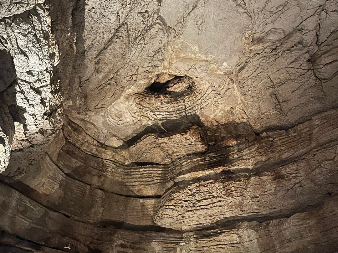 Longhorn Cavern State Park-Burnet必去景点