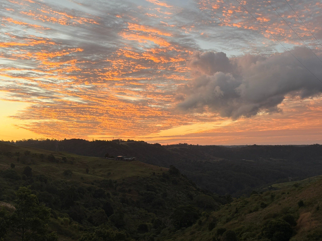 Top of the Hill主图