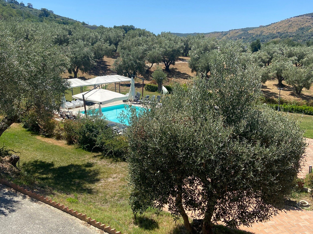 Agriturismo Manfredi主图