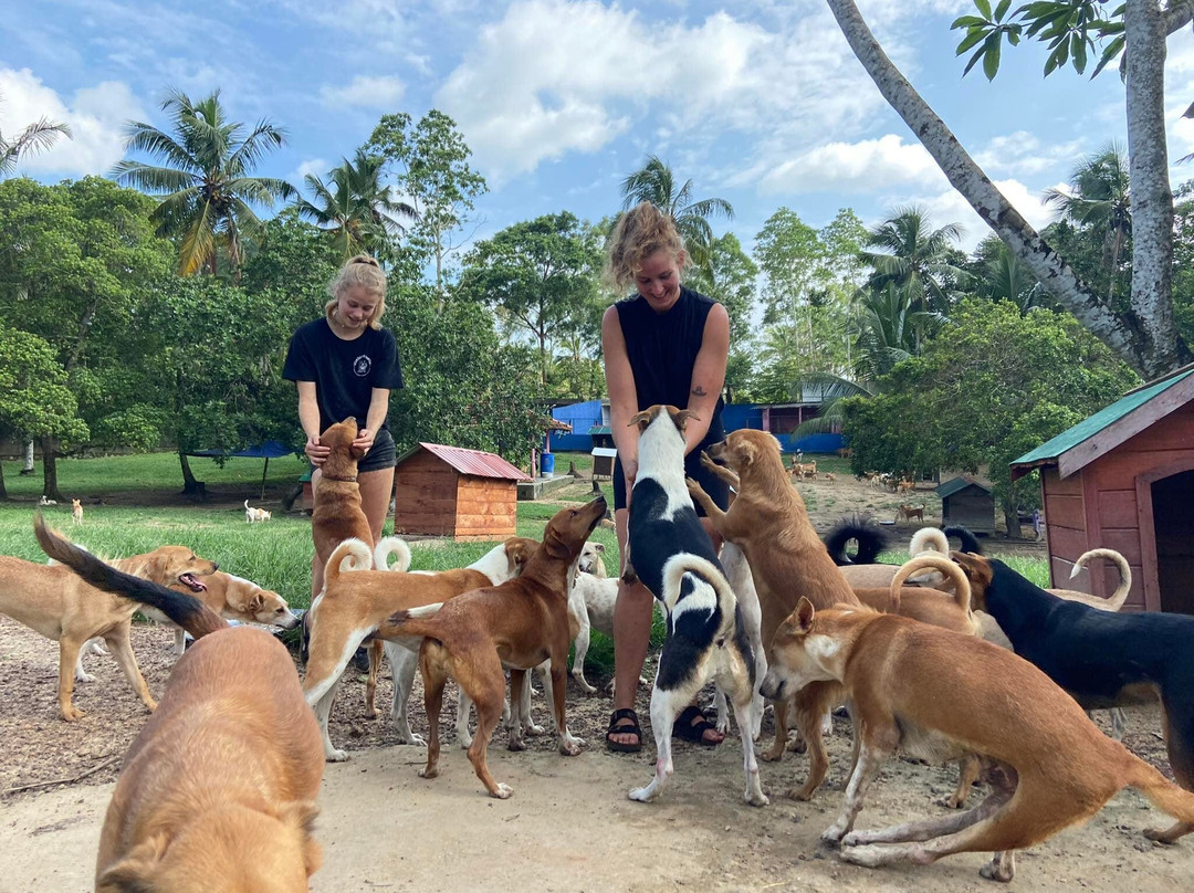 Animal SOS Sri Lanka-阿杭玛必去景点