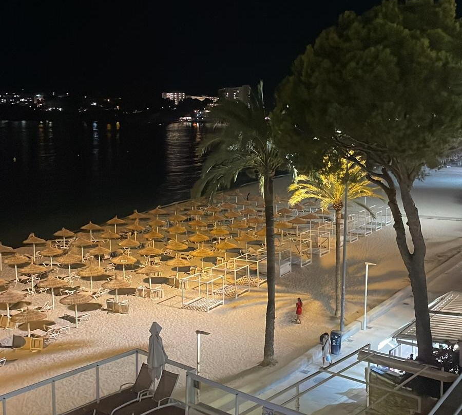 Flamboyan Caribe主图