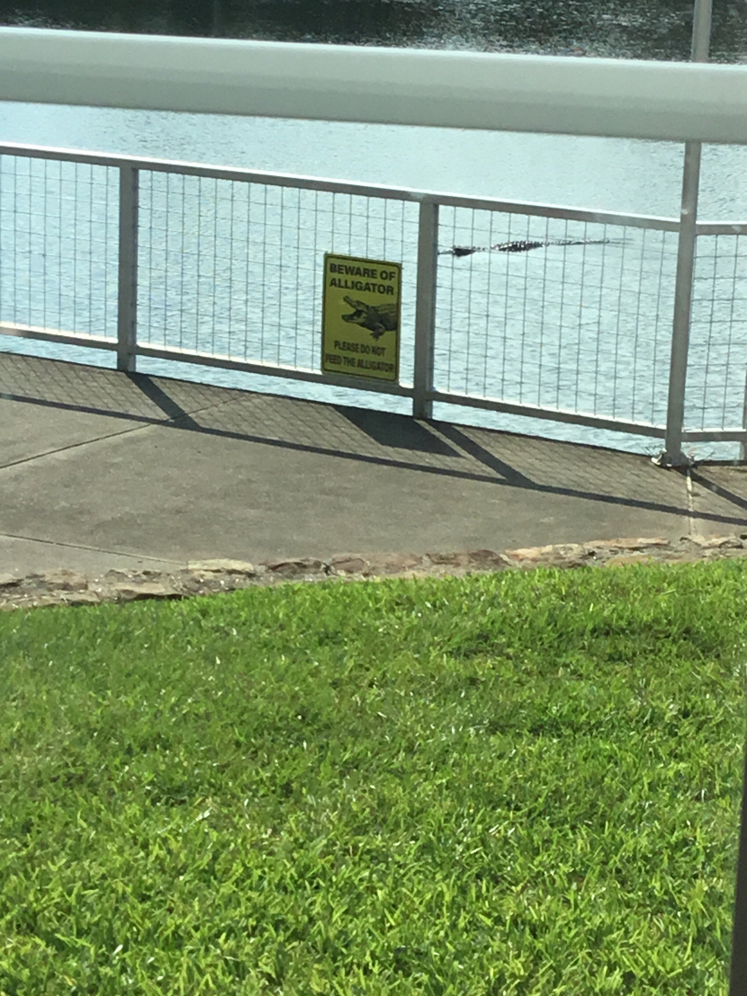 La Quinta Inn & Suites by Wyndham Bridge City-酒店景观