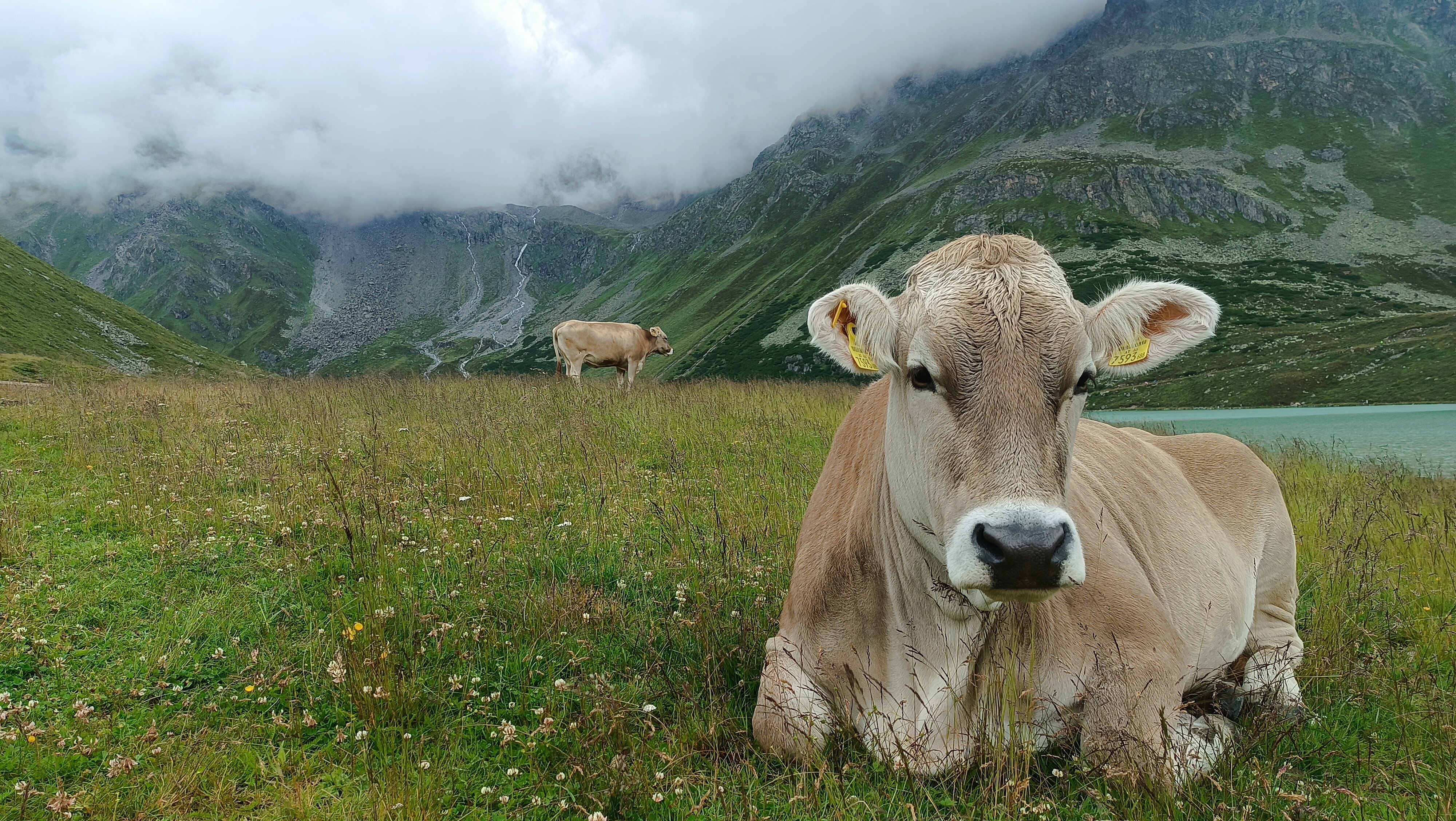 Hotel Gundolf-浴室