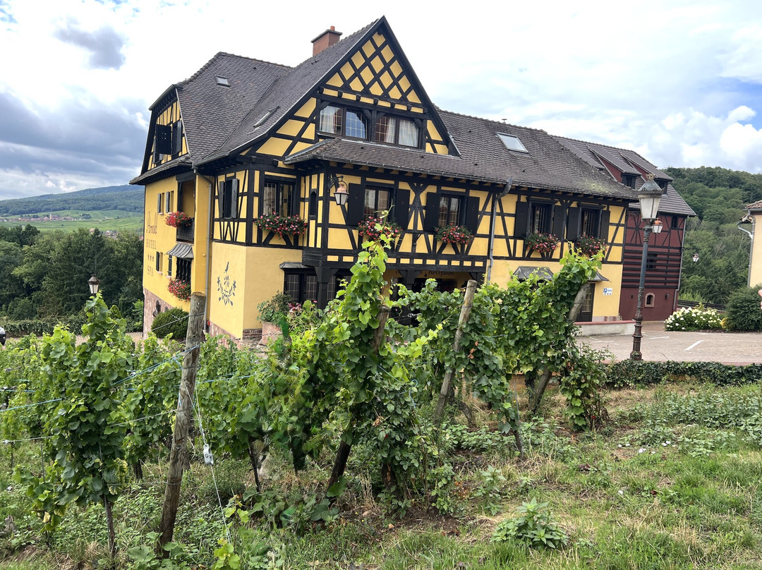 阿诺德酒店主图