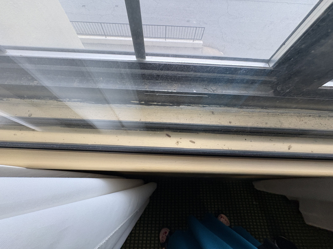 格林斯博罗机场希尔顿合博套房酒店主图