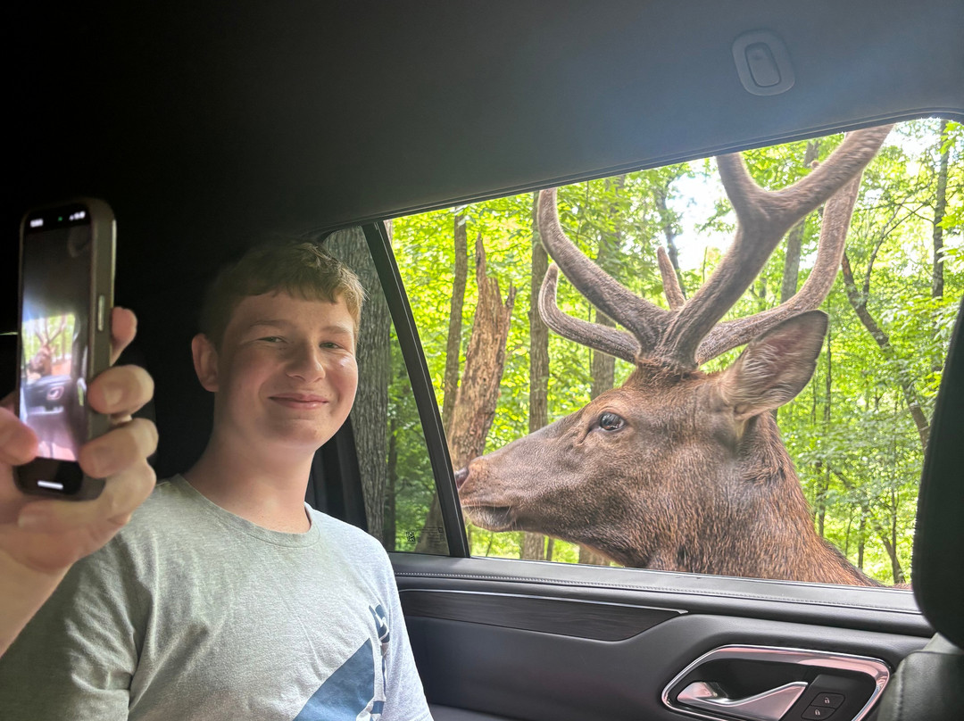 Briarwood Ranch Safari Park-莫利斯敦必去景点